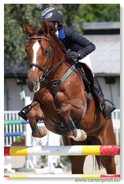 Bernol�kovo - 21. j�na 2009 