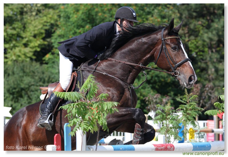 Bernol�kovo - 21. j�na 2009 