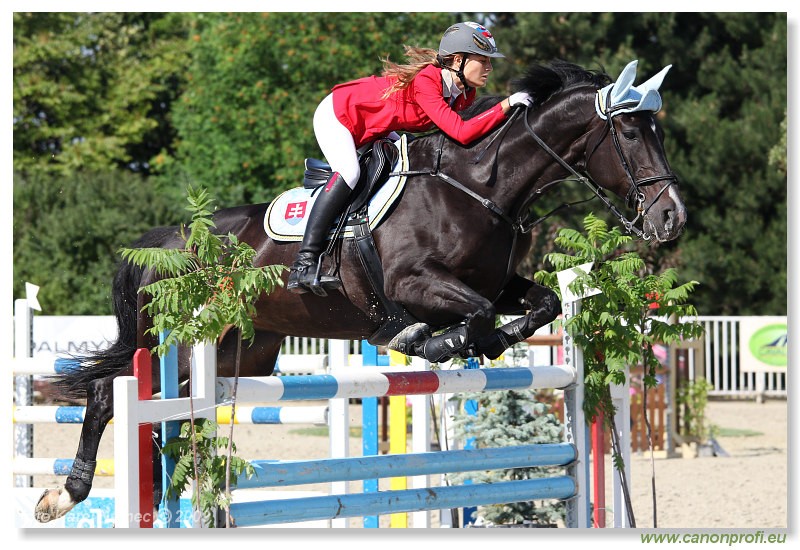 Bernol�kovo - 21. j�na 2009 