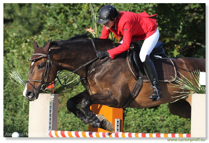 Bernol�kovo - 21. j�na 2009 