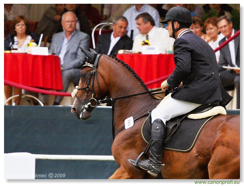 Aegon Mercedes Grand Prix Bratislava