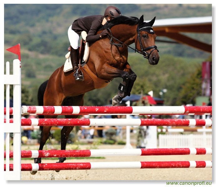 Pezinok - 12. septembra 2009 