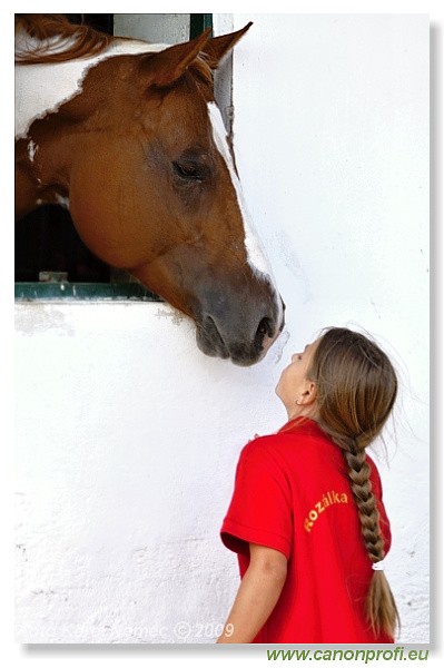 Pezinok - 12. septembra 2009 