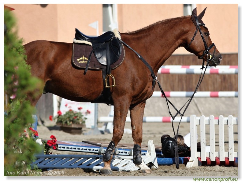 Miloslavov - 04. okt�bra 2009 