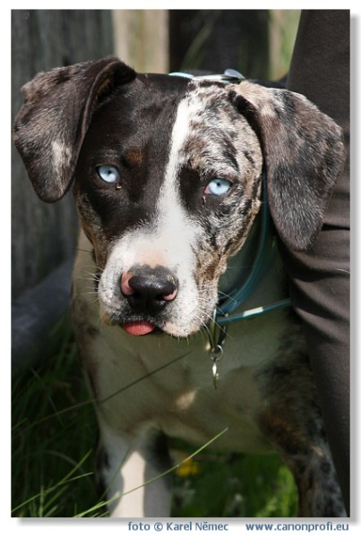 Miloslavov - 26. apr�la 2008