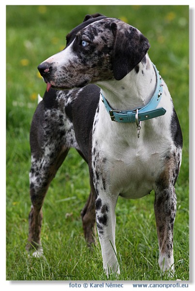 Miloslavov - 26. apr�la 2008