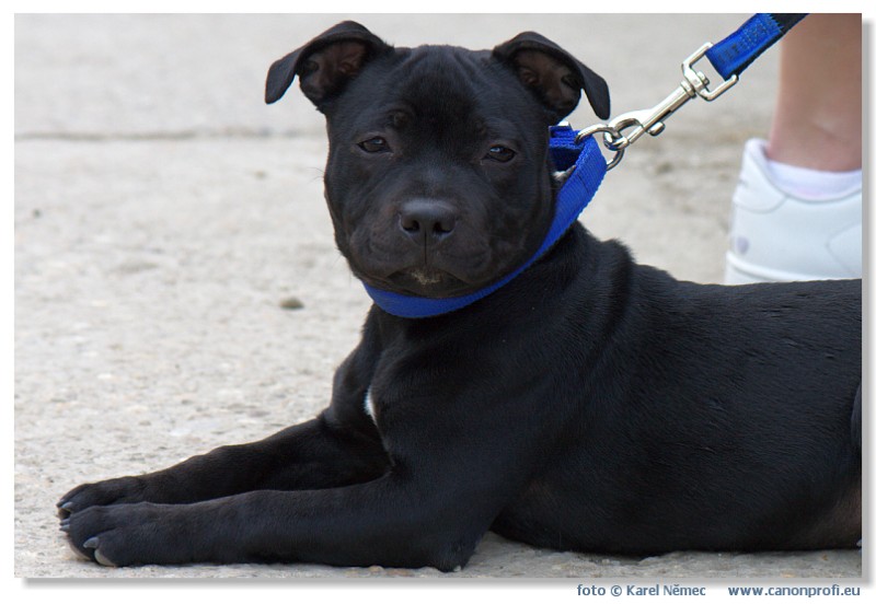 Miloslavov - 26. apr�la 2008