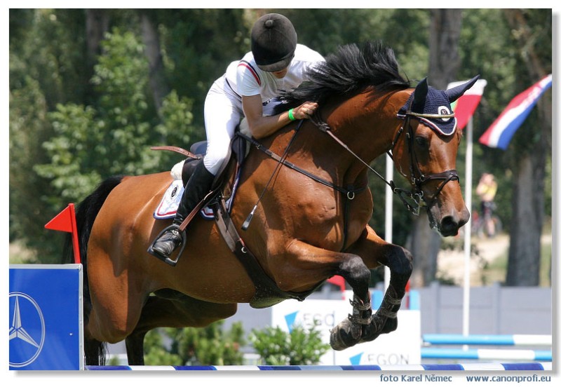 Bratislava - Grand Prix 2007