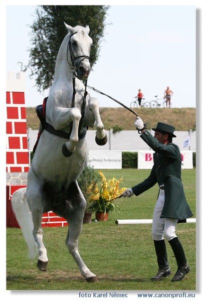 Bratislava - Grand Prix 2007