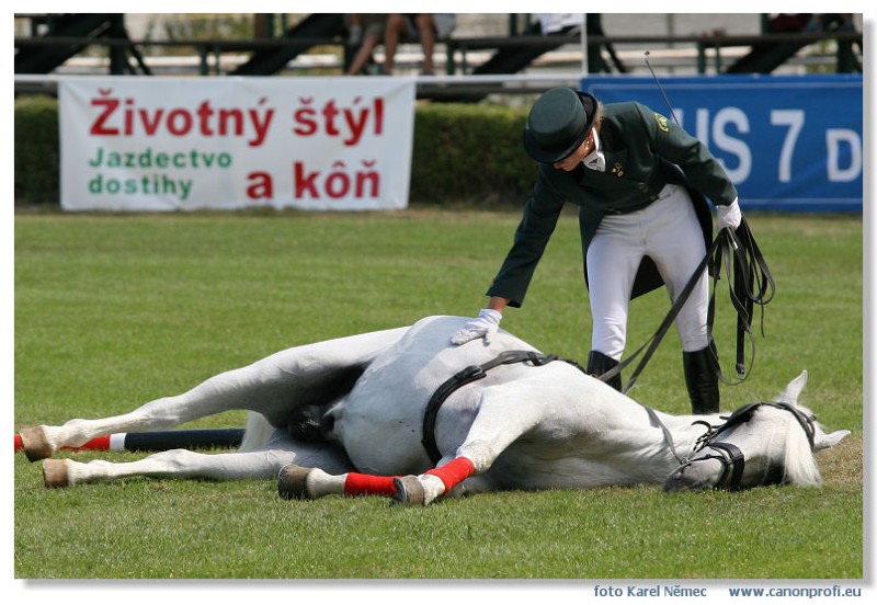 Bratislava - Grand Prix 2007
