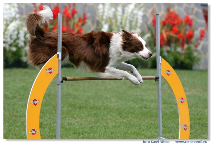 Bratislava - Grand Prix 2007