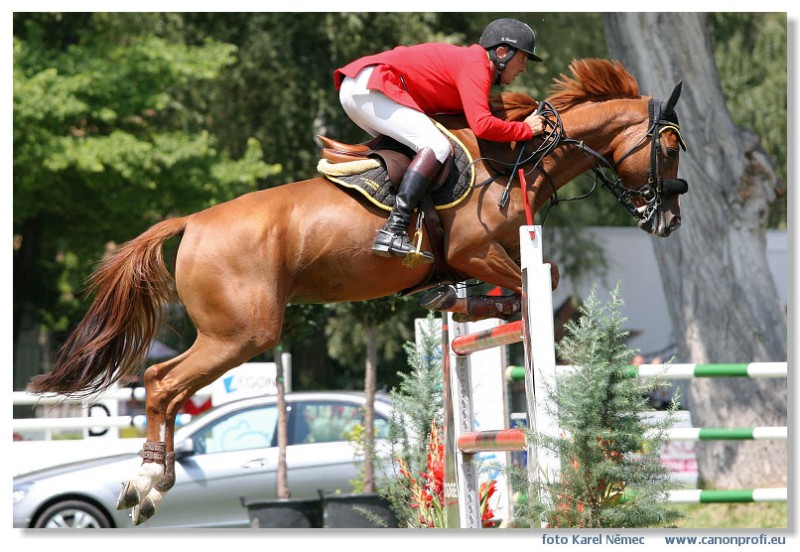 Bratislava - Grand Prix 2007