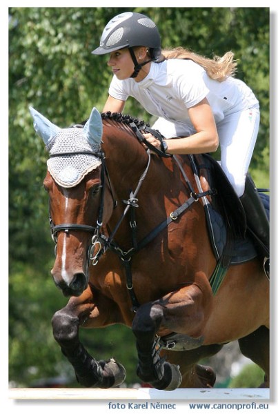 Bratislava - Grand Prix 2007