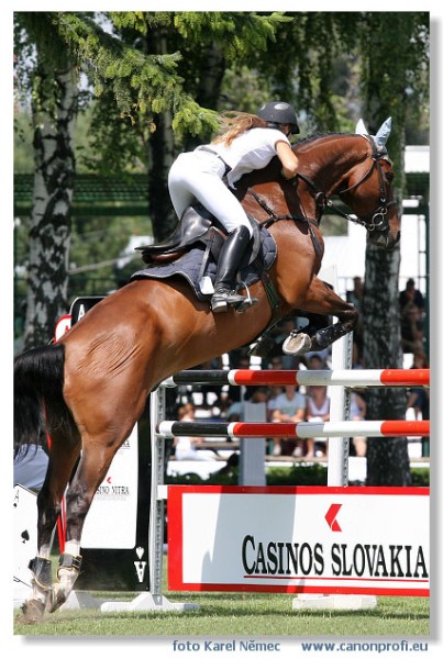 Bratislava - Grand Prix 2007