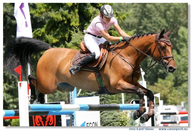 Bratislava - Grand Prix 2007