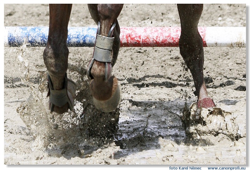 Miloslavov - 06. august 2006