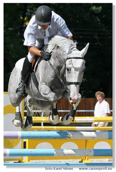 Bratislava - Mlad� kone