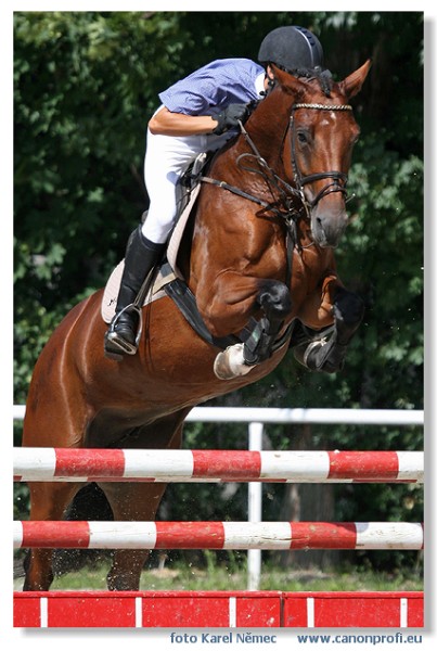 Bratislava - Mlad� kone