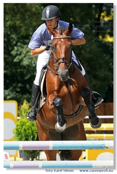 Bratislava - Mlad� kone