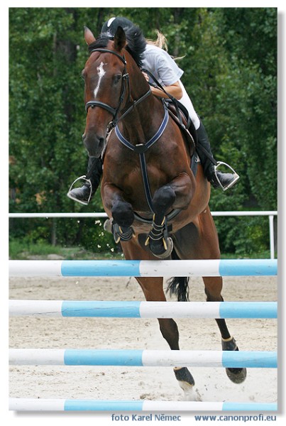 Bratislava - Mlad� kone