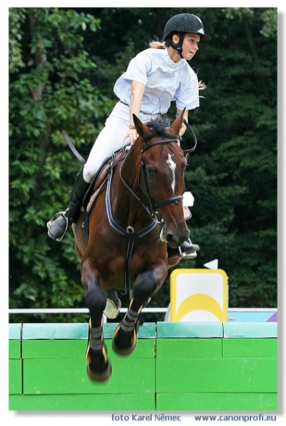 Bratislava - Mlad� kone