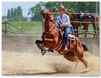 Brie�ky - 14. j�na 2014