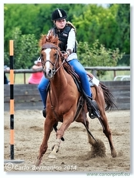 Brie�ky - 14. j�na 2014