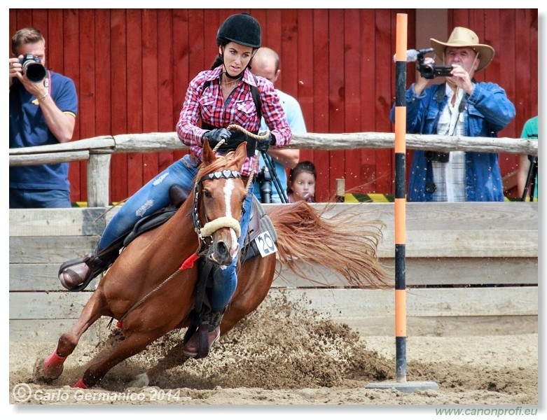 Brie�ky - 14. j�na 2014