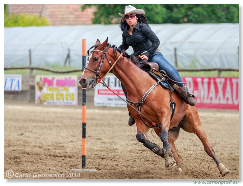 Brie�ky - 14. j�na 2014