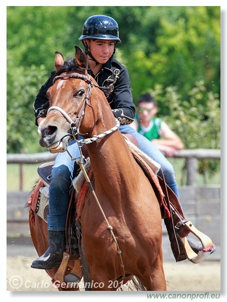 Brie�ky - 14. j�na 2014