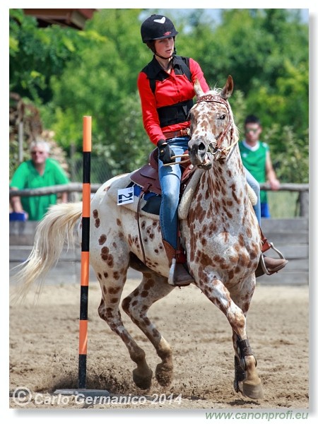 Brie�ky - 14. j�na 2014