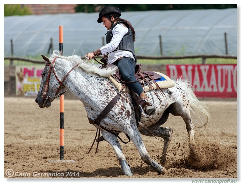 Brie�ky - 14. j�na 2014