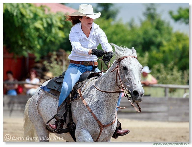 Brie�ky - 14. j�na 2014