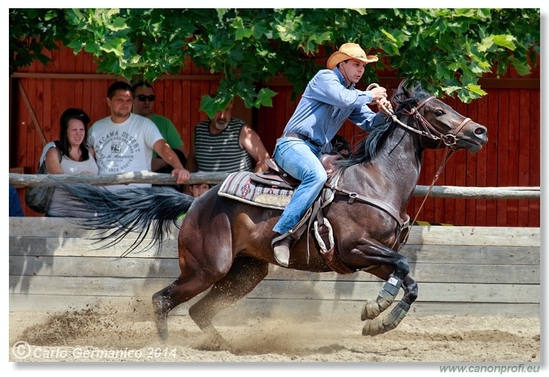 Brie�ky - 14. j�na 2014