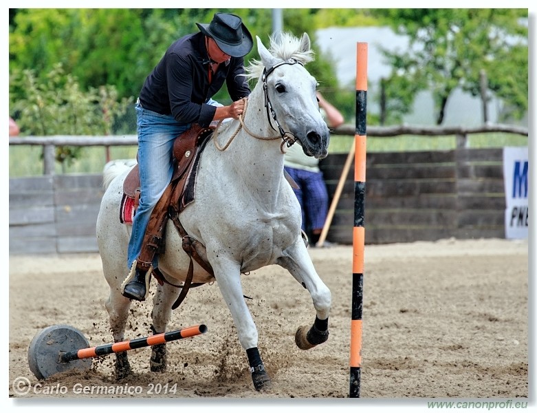 Brie�ky - 14. j�na 2014
