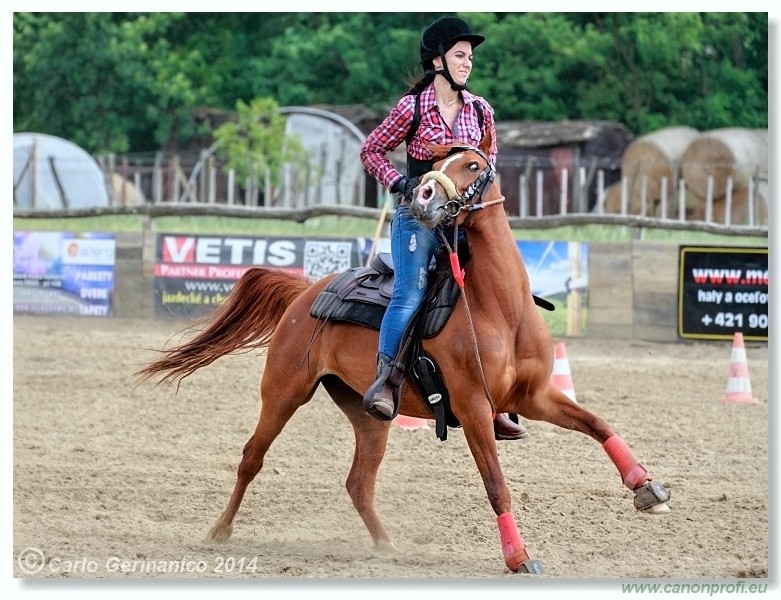 Brie�ky - 14. j�na 2014