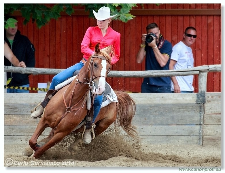 Brie�ky - 14. j�na 2014