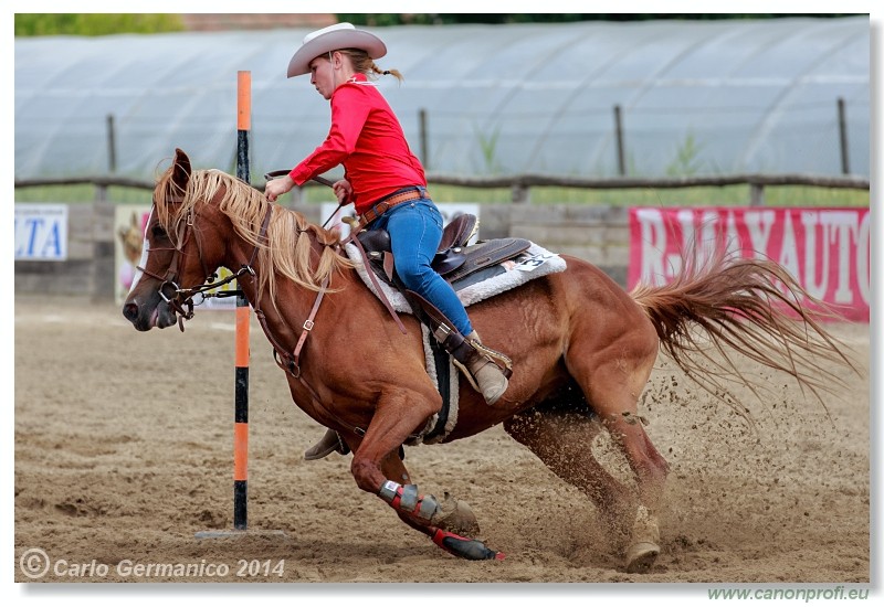 Brie�ky - 14. j�na 2014