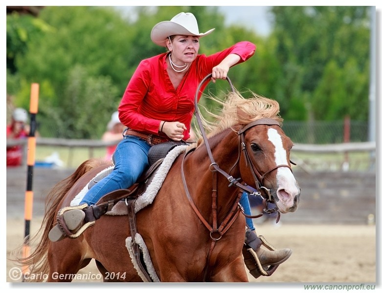 Brie�ky - 14. j�na 2014