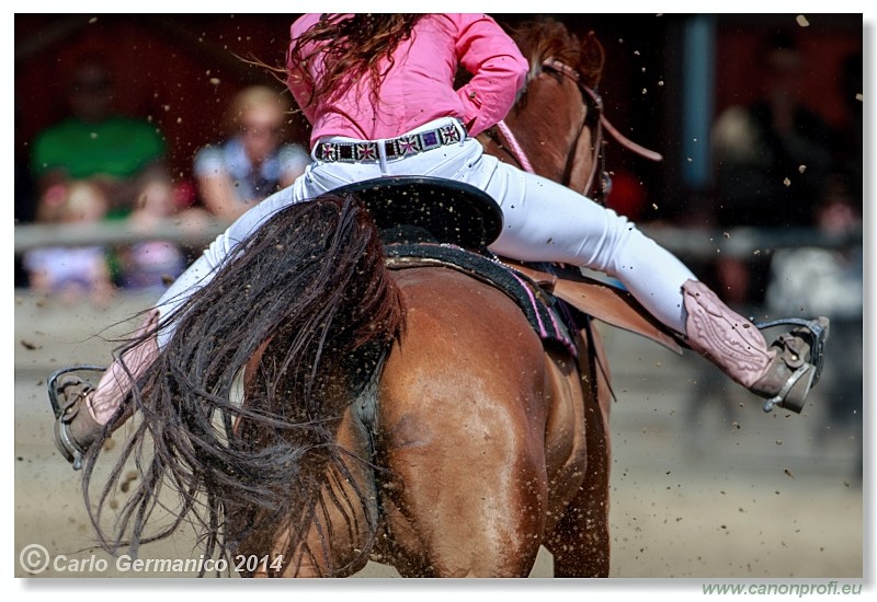 Brie�ky - 14. j�na 2014