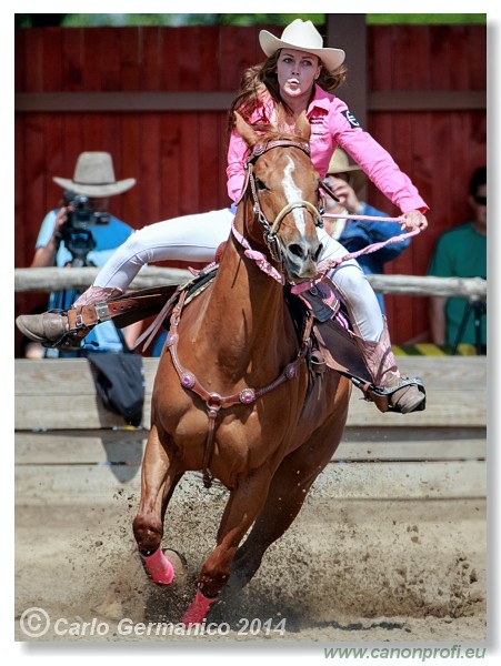 Brie�ky - 14. j�na 2014