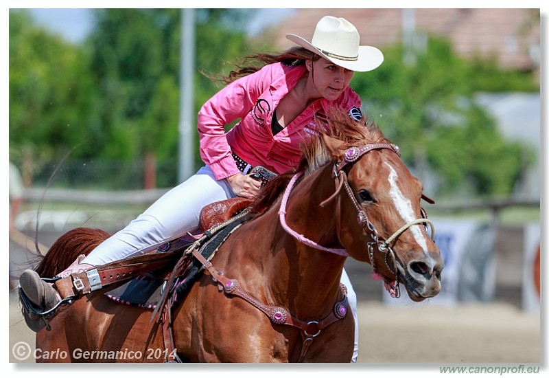Brie�ky - 14. j�na 2014