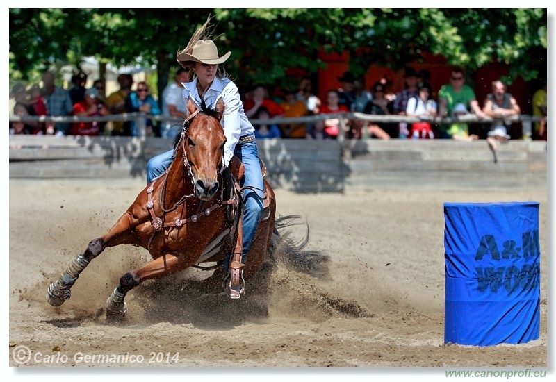 Brie�ky - 14. j�na 2014