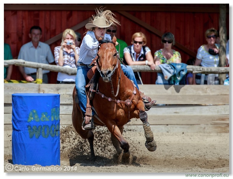 Brie�ky - 14. j�na 2014