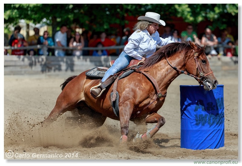 Brie�ky - 14. j�na 2014