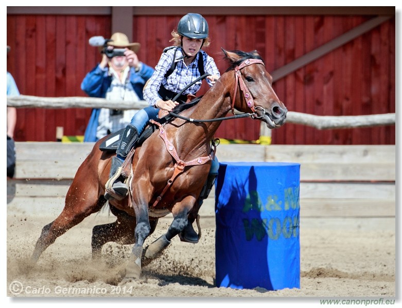 Brie�ky - 14. j�na 2014