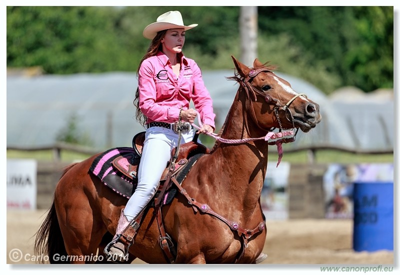 Brie�ky - 14. j�na 2014