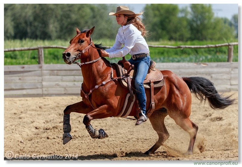 Brie�ky - 14. j�na 2014