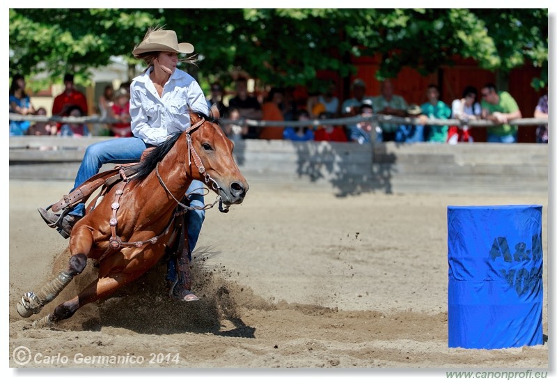 Brie�ky - 14. j�na 2014