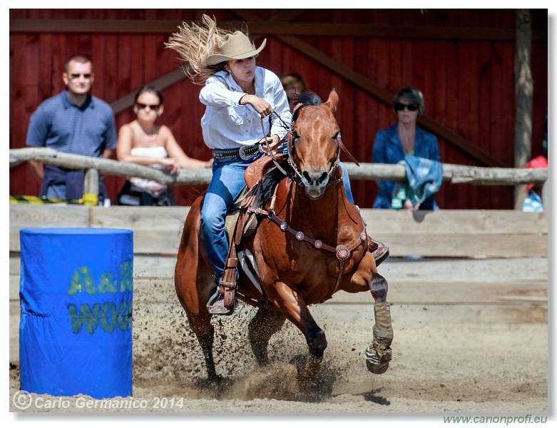Brie�ky - 14. j�na 2014